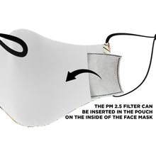 Load image into Gallery viewer, van gogh face cover
