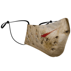 Halloween Face Cover